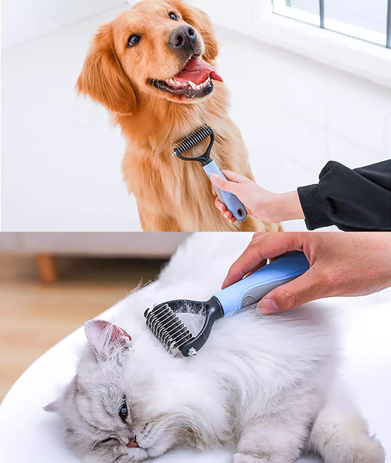 71qibT2DbRL._SL1500_