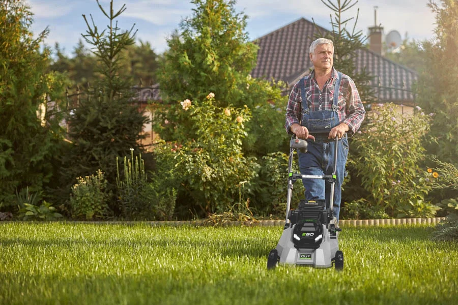 lawn mowers price